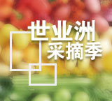 乐游世业 | 每斤60元！早熟草莓抢“鲜”上市