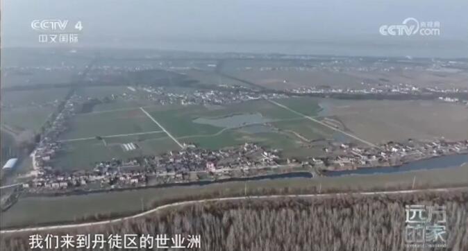 QQ截图20250206102516