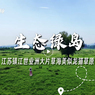 生态绿岛！世业洲大片草海美似龙猫草原