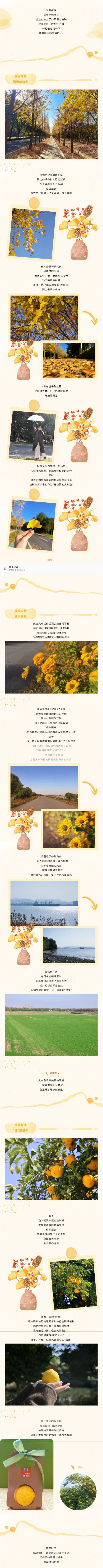 屏幕截图_28-11-2025_173211_mp