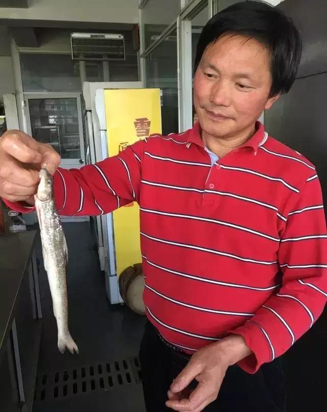 微信图片_20190717095852.jpg