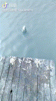 微信图片_20190920170604.gif