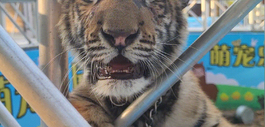 1677830328820074.gif