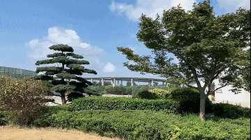 640 (1).gif